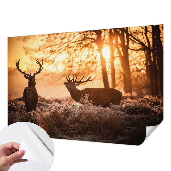 Samolepiaca tapeta Jeleň ráno