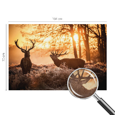 Samolepiaca tapeta Jeleň ráno