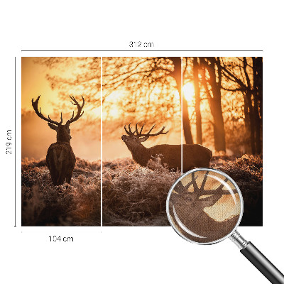 Samolepiaca tapeta Jeleň ráno