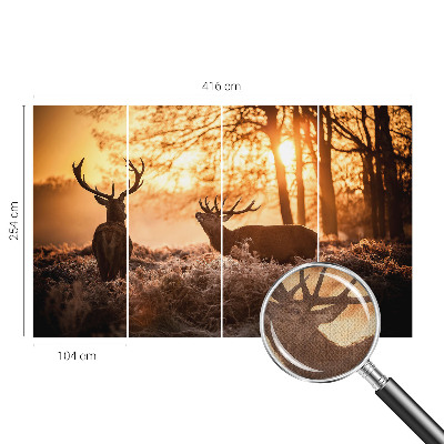 Samolepiaca tapeta Jeleň ráno