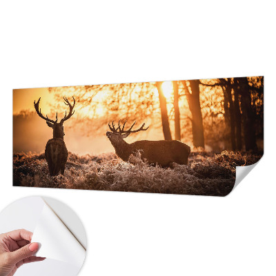 Samolepiaca tapeta Jeleň ráno