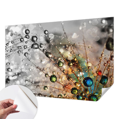 3D tapeta na stenu Osviežujem šperky rosou