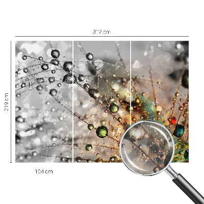 3D tapeta na stenu Osviežujem šperky rosou