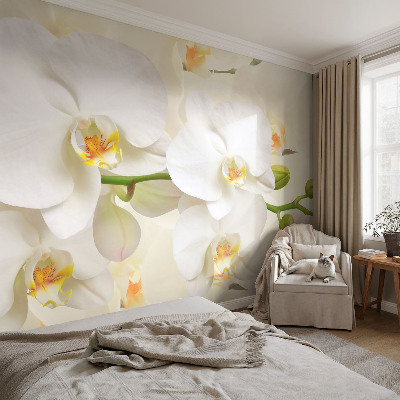 Detská fototapeta Kvetinové bohatstvo