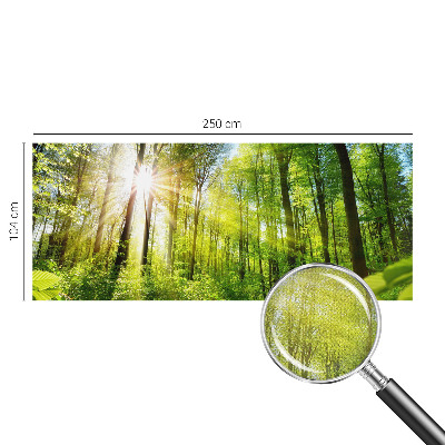 Moderná tapeta na stenu Lesné svetlo