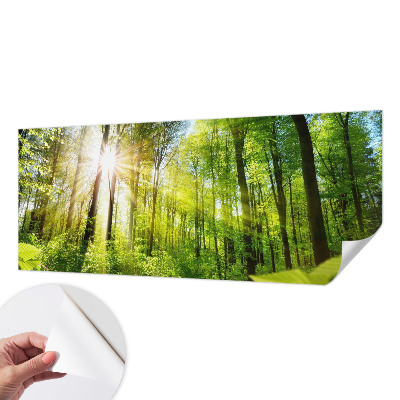 Moderná tapeta na stenu Lesné svetlo