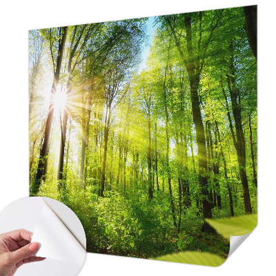 Moderná tapeta na stenu Lesné svetlo