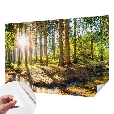 Samolepiaca tapeta Lesná idylka