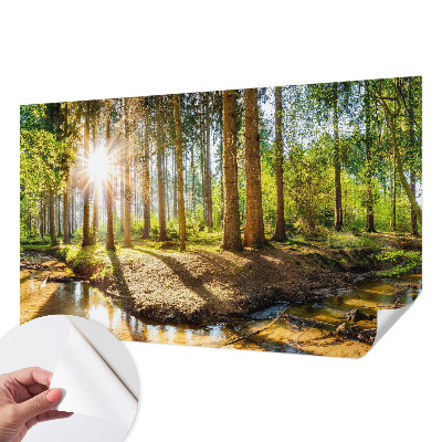 Samolepiaca tapeta Lesná idylka