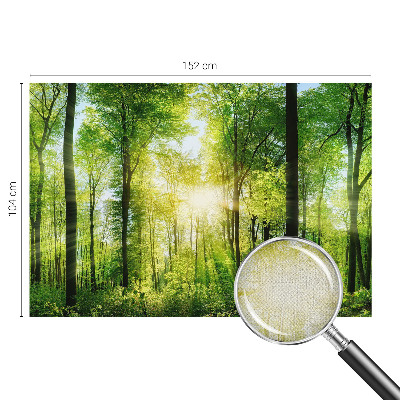 Samolepiaca fototapeta do obývačky Lesná harmónia