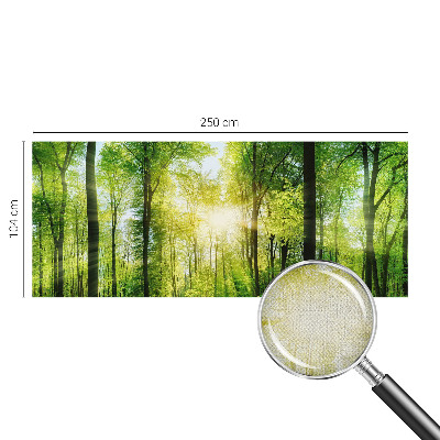 Samolepiaca fototapeta do obývačky Lesná harmónia