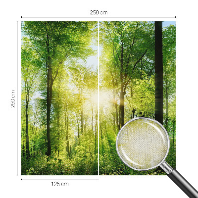 Samolepiaca fototapeta do obývačky Lesná harmónia