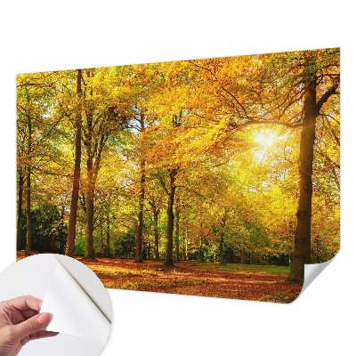 Samolepiaca fototapeta do detskej izby Zlaté listy