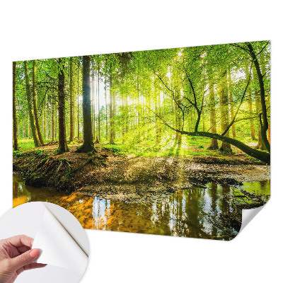 3D tapeta so vzorom zelenej krajiny