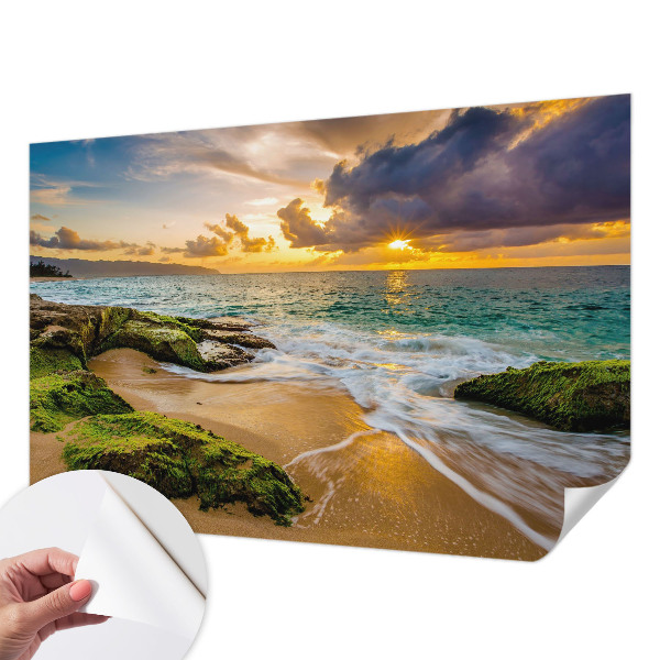 3D tapeta na stenu Námorná harmónia