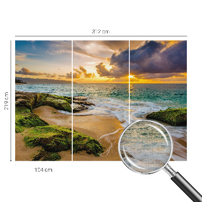 3D tapeta na stenu Námorná harmónia