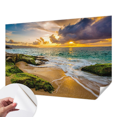 3D tapeta na stenu Námorná harmónia