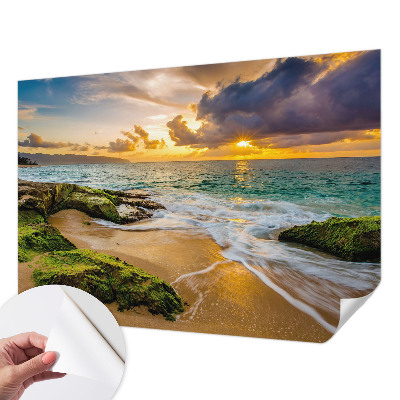 3D tapeta na stenu Námorná harmónia