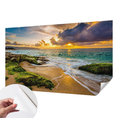 3D tapeta na stenu Námorná harmónia