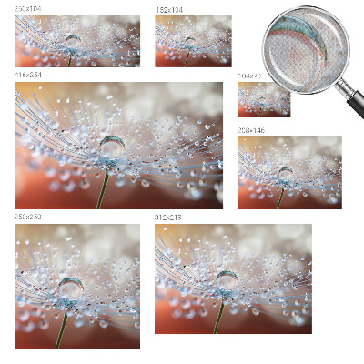 Samolepiaca fototapeta Kvapka na púpave