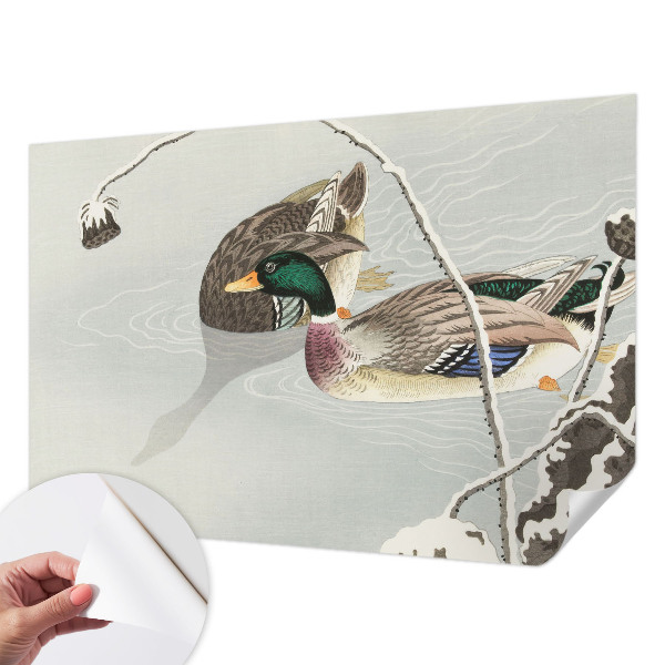 Fototapeta pre dievča Pokojné kačky