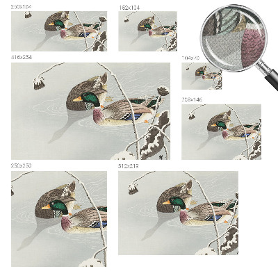 Fototapeta pre dievča Pokojné kačky