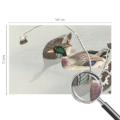 Fototapeta pre dievča Pokojné kačky