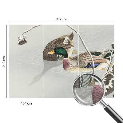 Fototapeta pre dievča Pokojné kačky