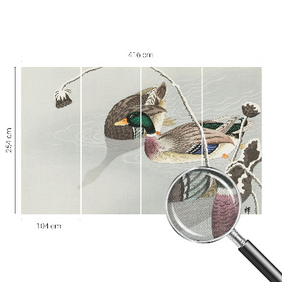 Fototapeta pre dievča Pokojné kačky