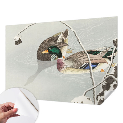 Fototapeta pre dievča Pokojné kačky