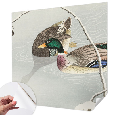 Fototapeta pre dievča Pokojné kačky