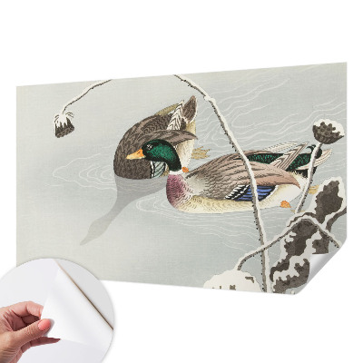 Fototapeta pre dievča Pokojné kačky