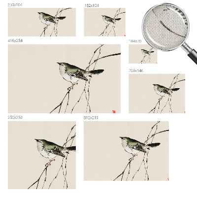 Tapety na stenu samolepiace Harmonický vták