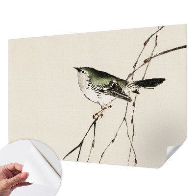 Tapety na stenu samolepiace Harmonický vták