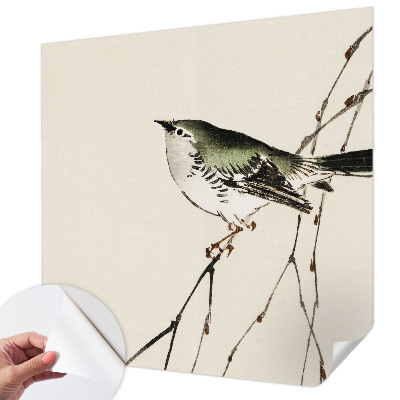 Tapety na stenu samolepiace Harmonický vták