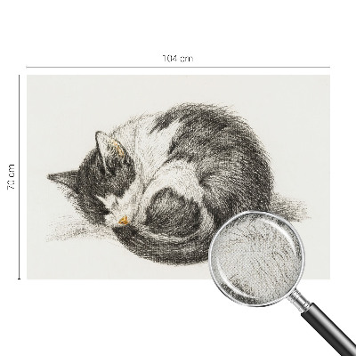 Detská fototapeta na stenu Rozkošná mačička