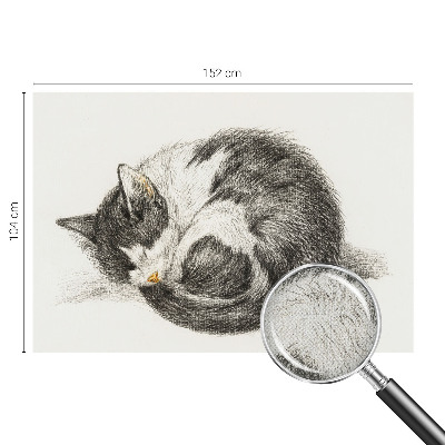 Detská fototapeta na stenu Rozkošná mačička