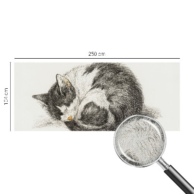 Detská fototapeta na stenu Rozkošná mačička