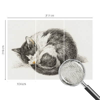 Detská fototapeta na stenu Rozkošná mačička