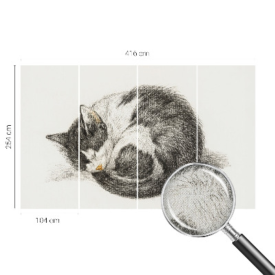 Detská fototapeta na stenu Rozkošná mačička