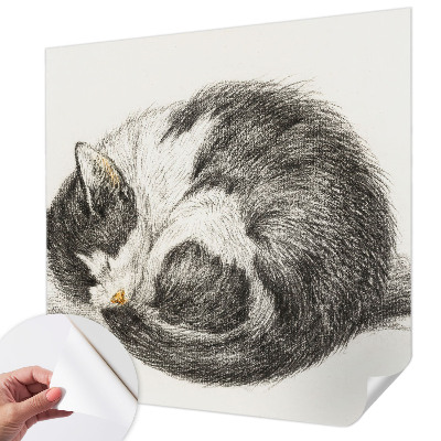 Detská fototapeta na stenu Rozkošná mačička