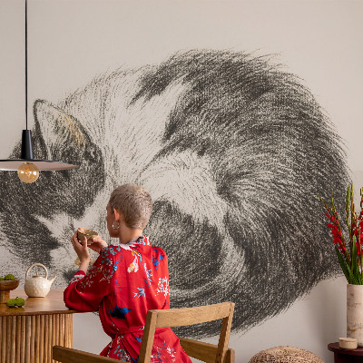 Detská fototapeta na stenu Rozkošná mačička