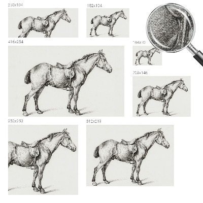 Fototapeta do detskej izby Náčrt koňa