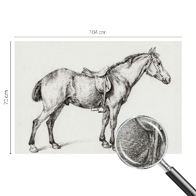 Fototapeta do detskej izby Náčrt koňa