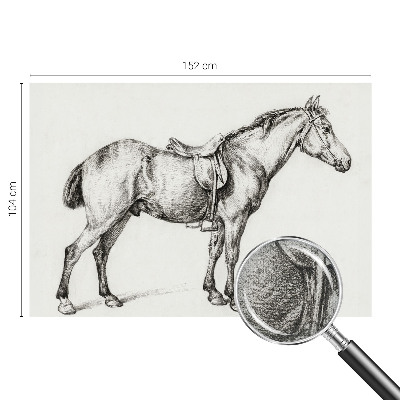 Fototapeta do detskej izby Náčrt koňa