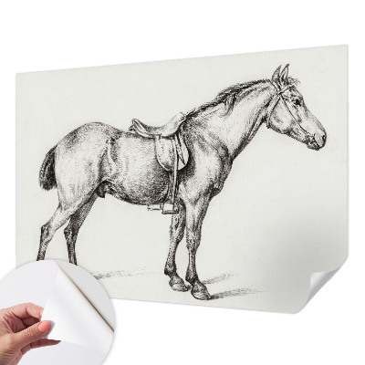 Fototapeta do detskej izby Náčrt koňa