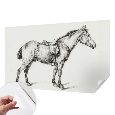 Fototapeta do detskej izby Náčrt koňa