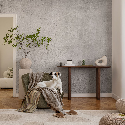 Samolepiaca fototapeta do detskej izby Betónový vzor