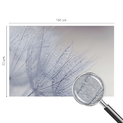 Fototapeta pre dievča Rosná púpava