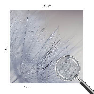 Fototapeta pre dievča Rosná púpava